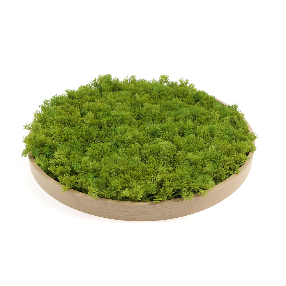 Moss circle Emerald Green