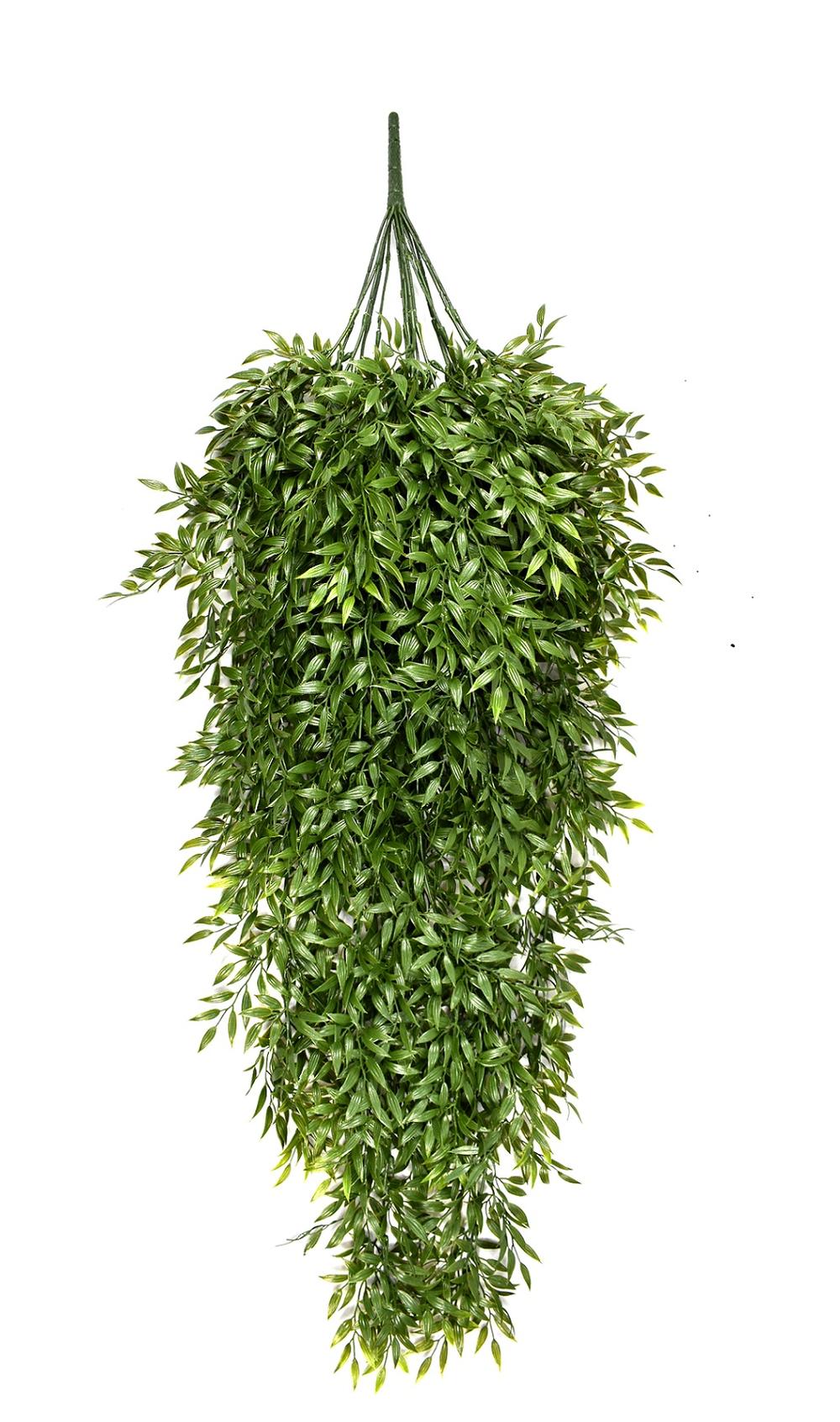 JVE0031 Ruscus trail XL 105 cm