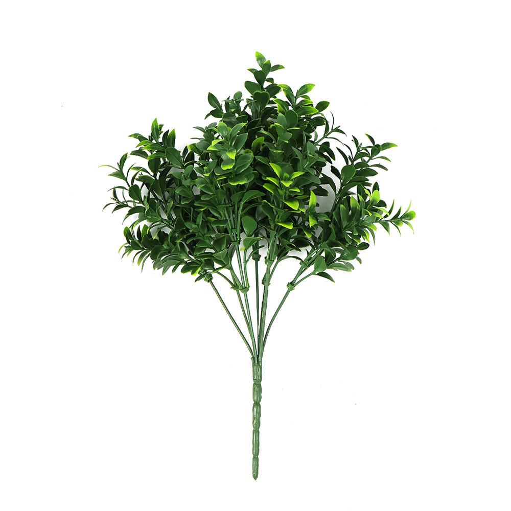 JVE0033 Summer buxus