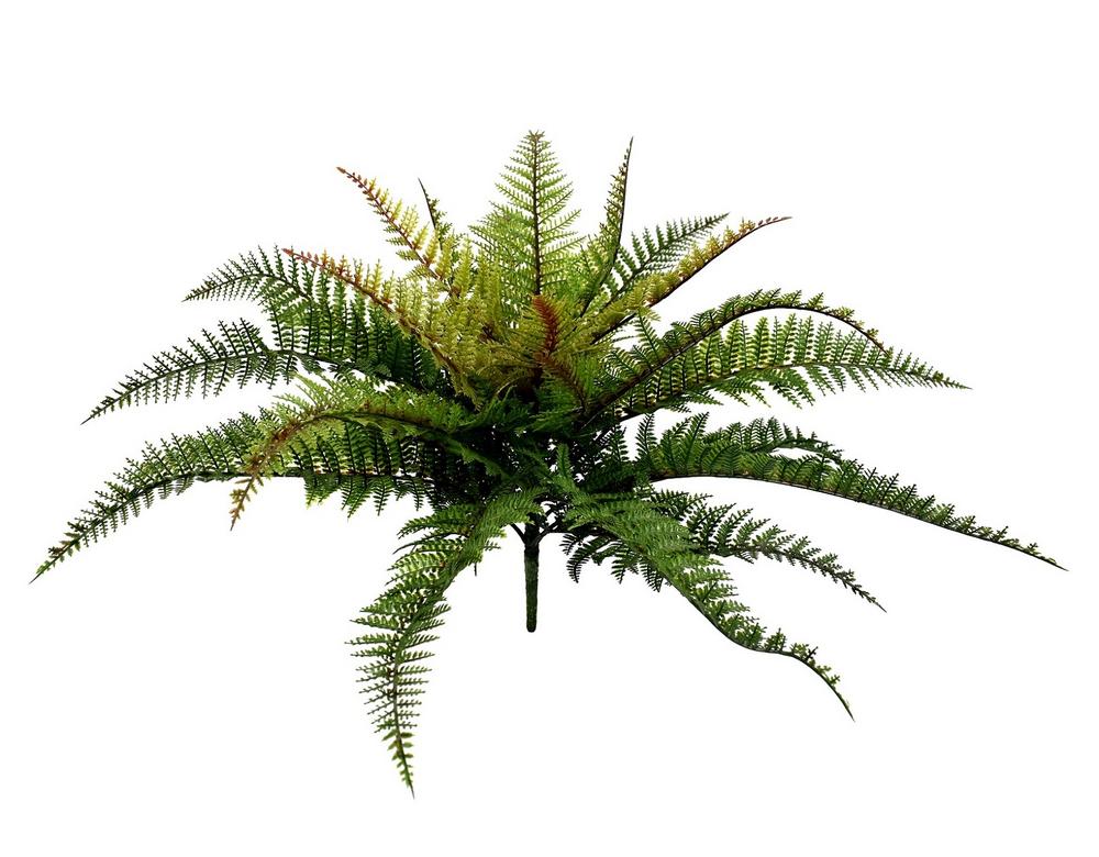 JVE0055 Boston fern 48 cm