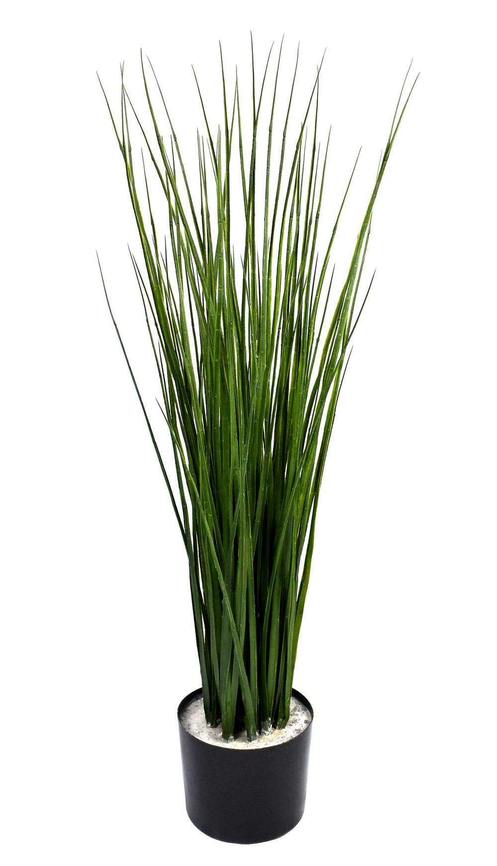 JVE0057 Onion grass 90 cm (incl pot)