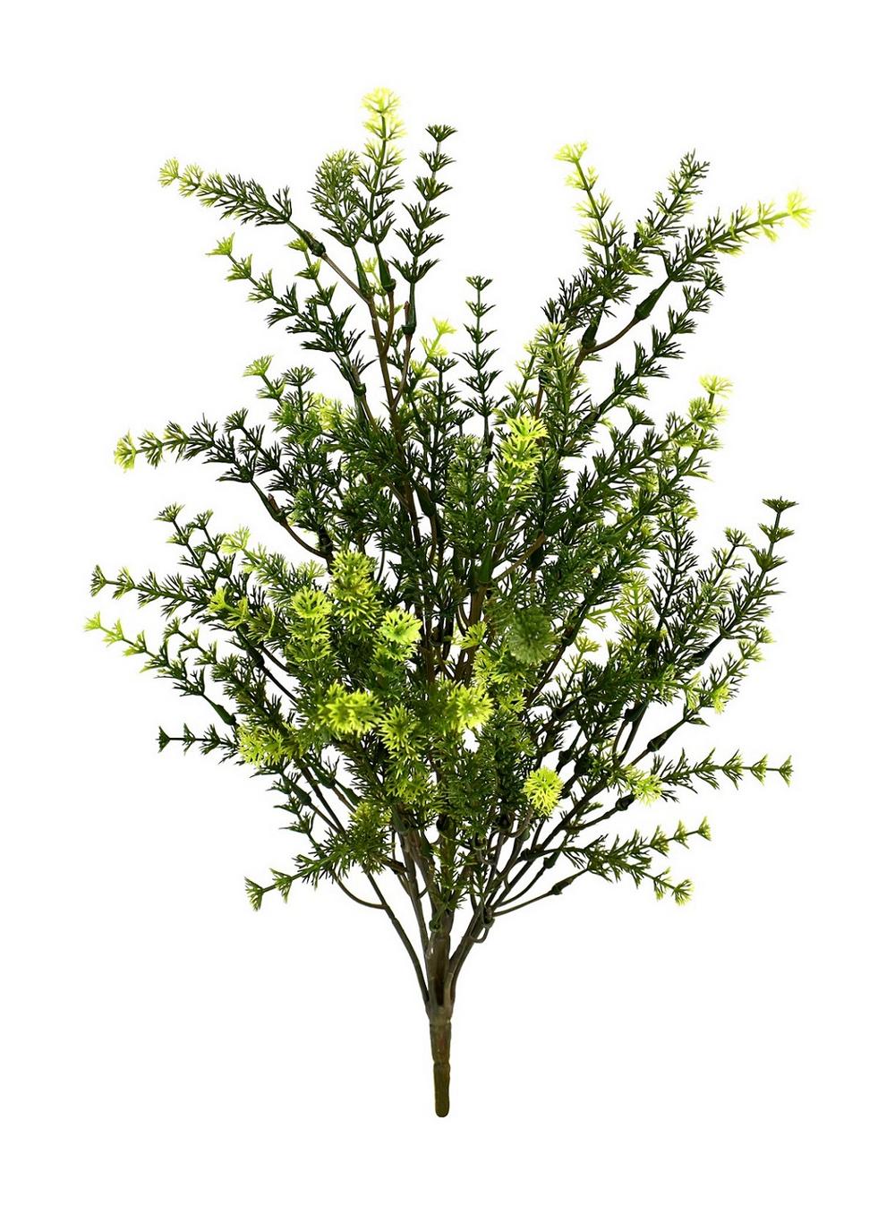 JVE0060 Waterweeds bush 48 cm