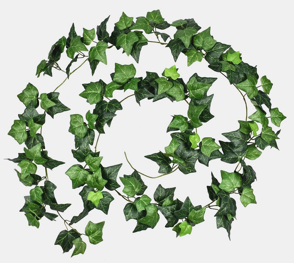 Hedera Helix garland